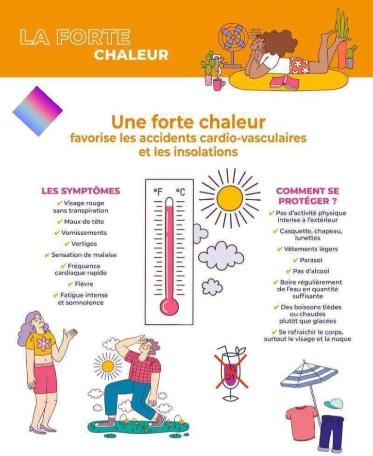 Information canicule