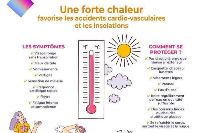 Information canicule